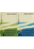 Pedagogika opiekuńcza w zarysie, Tom I - II