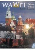 Wawel Katedra i zamek