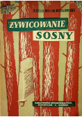 Żywicowanie Sosny