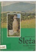Ślęża Śląski Olimp