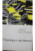 Dopalające się drzewa