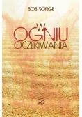 W ogniu oczekiwania NOWA