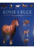 Konie i kuce. Kompendium