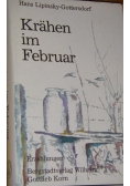 Krahen im Februar