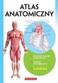 Atlas Anatomiczny