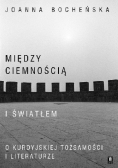 Między ciemnością a światłem