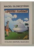 Limeryki plugawe