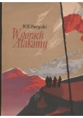 W górach Atakamy