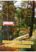 Skamieniałe miasto w Ciężkowicach
