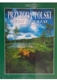 Przyroda Polski. Świat zwierząt