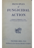 Principles of fungicidal action