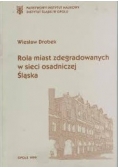 Rola miast zdegradowanych w sieci osadniczej