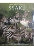 Encyklopedia zwierząt ssaki