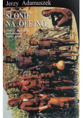Słonie na Olejno