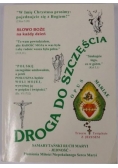 Droga do szczęścia. Nowa ewangelizacja poprzez codzienne rozważanie słowa Bożego