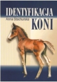 Identyfikacja koni