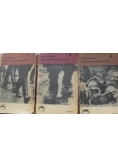 Hitler Studium tyranii, tom 1-3