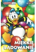 Miękkie lądowanie