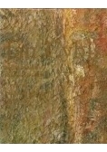 Notatki malarskie. Dzienniki 1954-1966