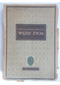 Węzły życia