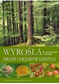 Wyrośla drzew i krzewów leśnych