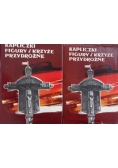 Kapliczki figury i krzyże przydrożne, Tomy: Ilustracje/ Tekst