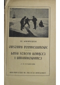 Obszary podbiegunowe Lasy strefy gorącej i umiarkowanej 1924 r.