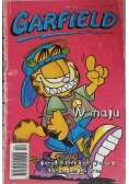 Garfield, Nr 4