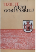 Dzieje Ziemi Gostyńskiej Dedykacja Sierpowskiego