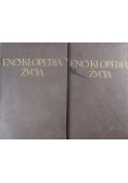 Encyklopedia życia Tom 1 i 2   1931 r