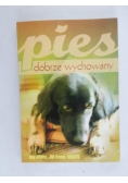 Pies dobrze wychowany