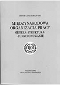 Międzynarodowa organizacja pracy