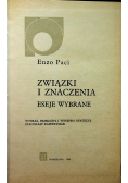 Związki i znaczenia Eseje wybrane