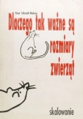 Dlaczego tak ważne są rozmiary zwierząt