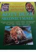 Tajemnice zwierząt. Koty duże, średnie i małe