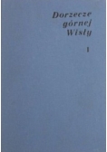 Dorzecze górnej Wisły, t. 1