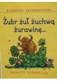 Żubr żuł żuchwą żurawinę