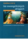 Na ewangelicznych drogach