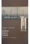 Konin Koło Turek