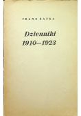 Dzienniki 1910 1923