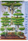 Niesamowite przekroje przyrody