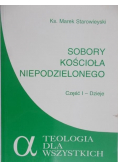 Sobory kościoła niepodzielnego