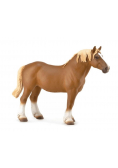 Ogier Belgian Mare gniady
