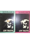 Dzienniki 2 książki