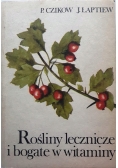 Rośliny lecznicze i bogate w witaminy