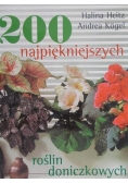 200 najpiękniejszych roślin doniczkowych