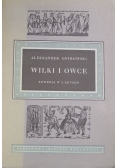 Wilki i owce