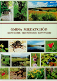 Gmina Międzychód