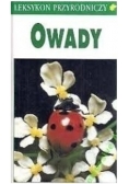 Owady
