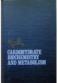 Carbohydrate Biochemistry and Metabolism